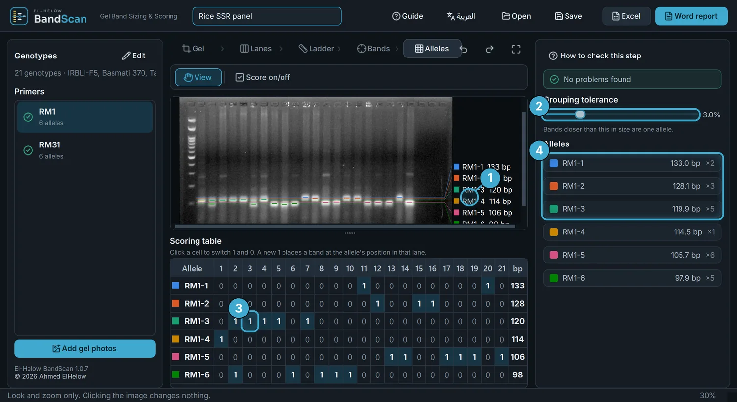 El-Helow BandScan alleles step